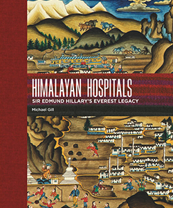 Himalayan hospitals